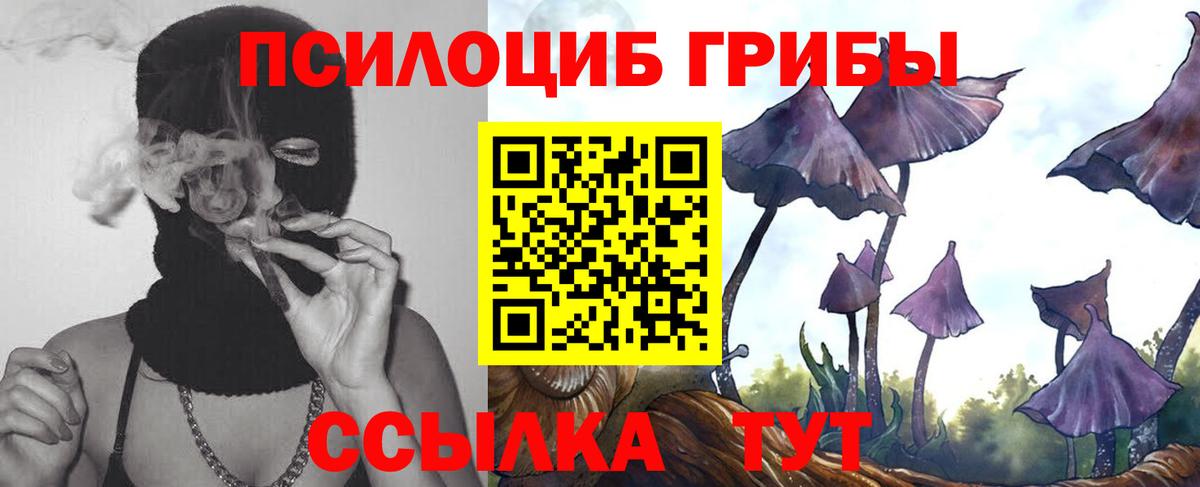 Галлюциногенные грибы прущие грибы Сарапул